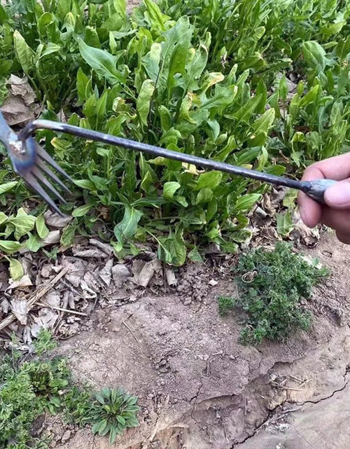Load image into Gallery viewer, RootMaster™ 4-in-1 Weeding Tool – Conquer Weeds with Steel Power &amp; Precision!
